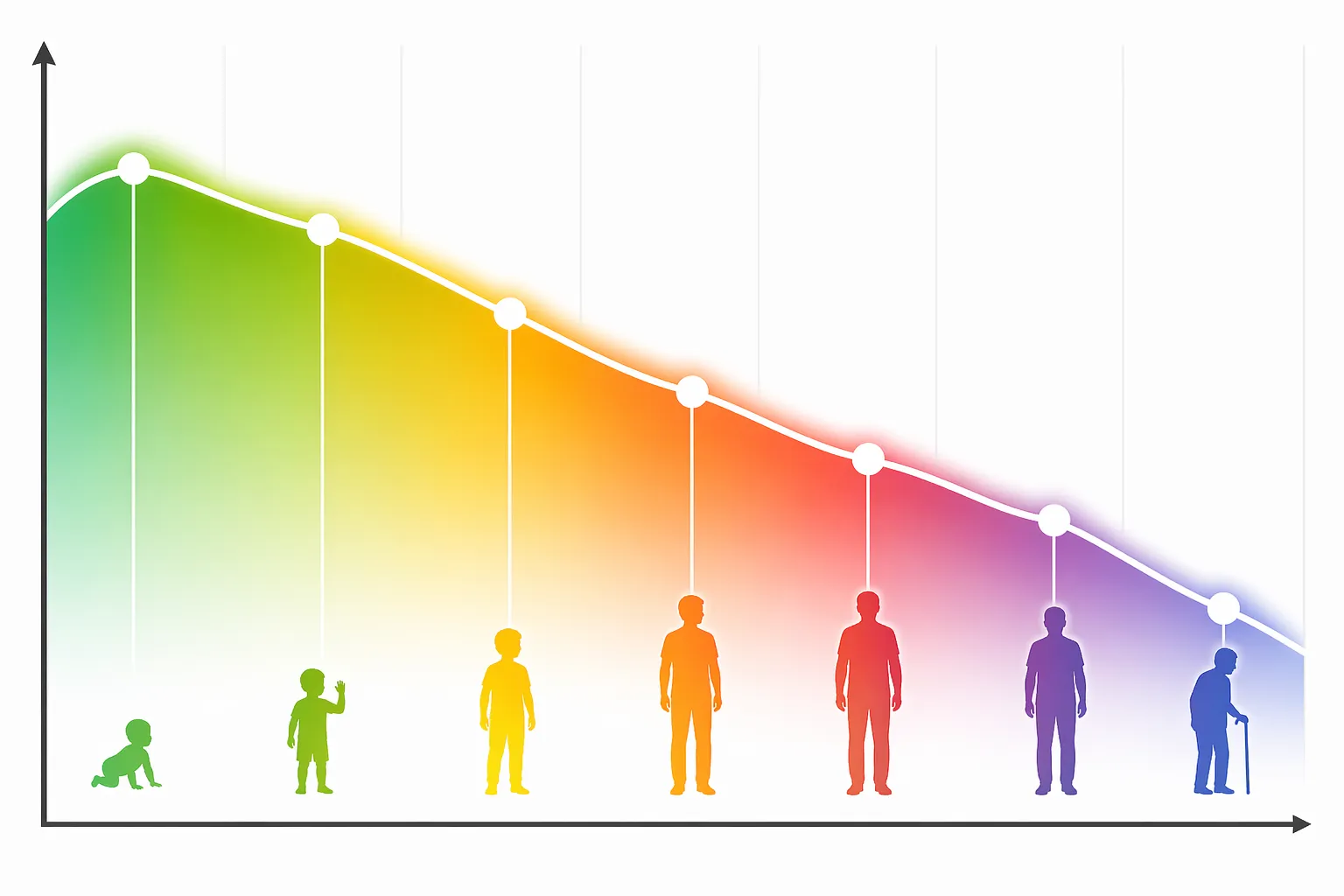 Eenvoudige visuele weergave van HRV-waarden per leeftijdsfase.